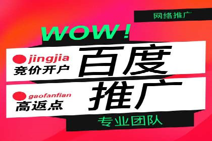 网络推广与竞价优化案例分享